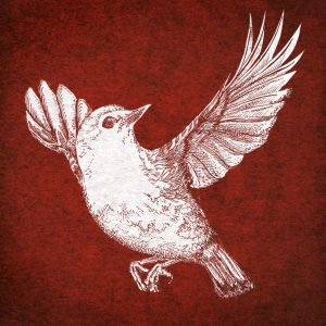Artwork Newborn Sun - Jacco Wynia (Artwork by Ilse Schrauwers, Isontwerp)